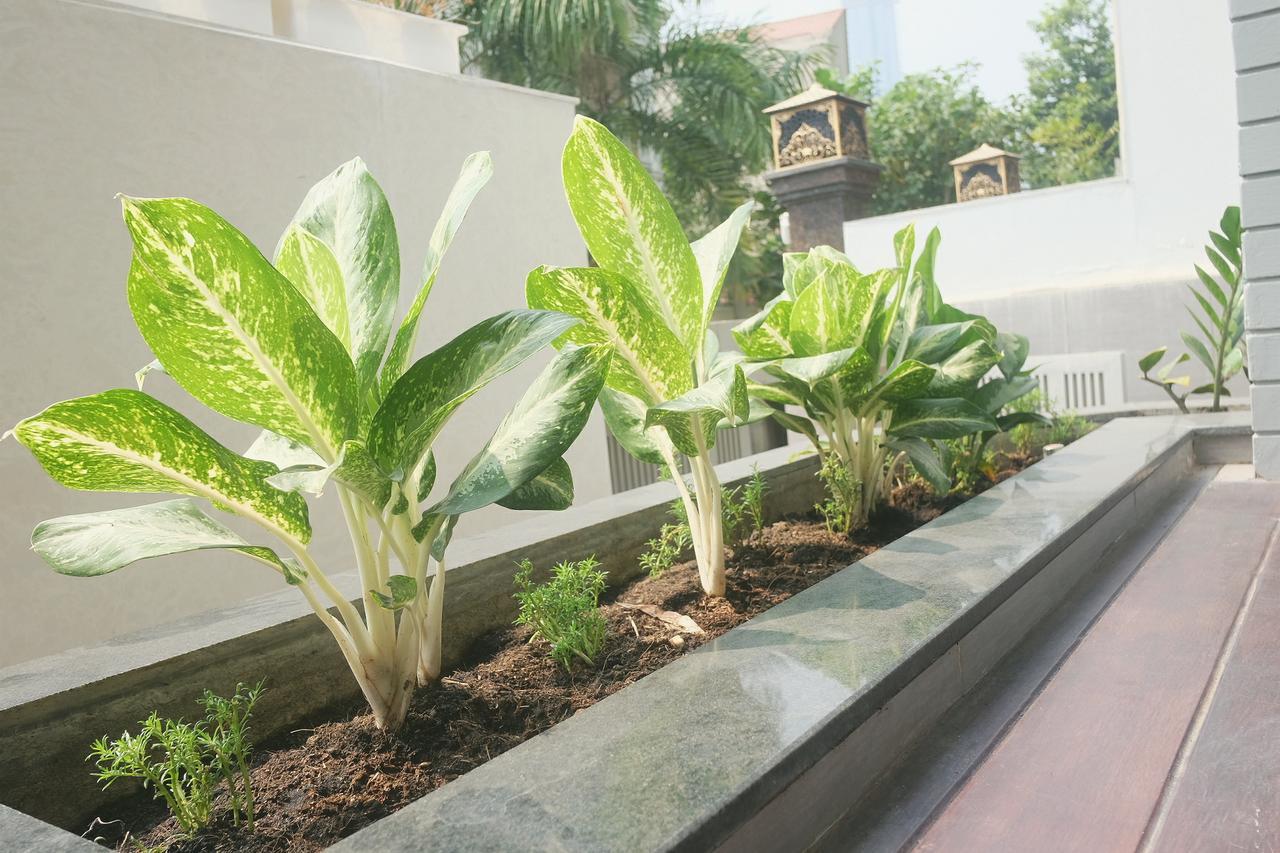 Greenwood Villa Saigon Ho Chi Minh City Exterior photo