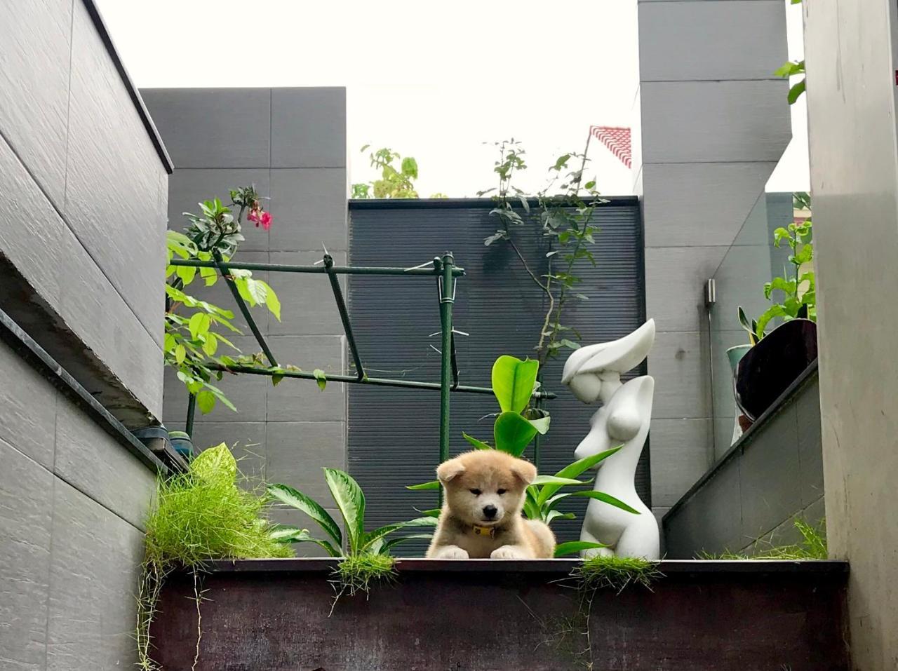 Greenwood Villa Saigon Ho Chi Minh City Exterior photo